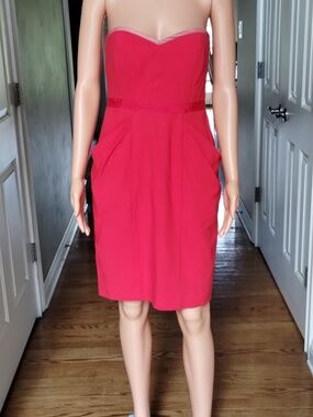 Amazing BCBGMAXAZRIA Dress